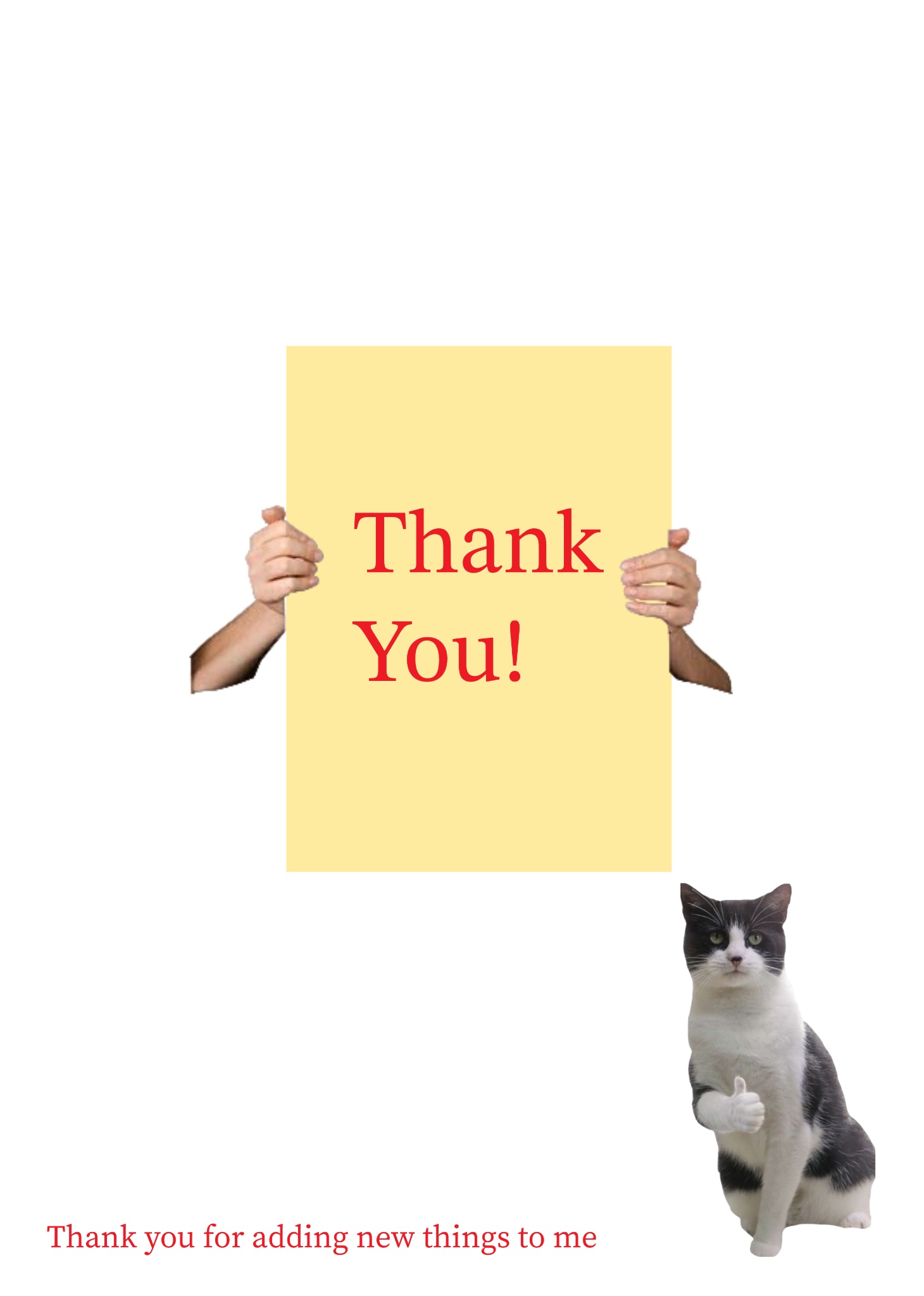 Thank You