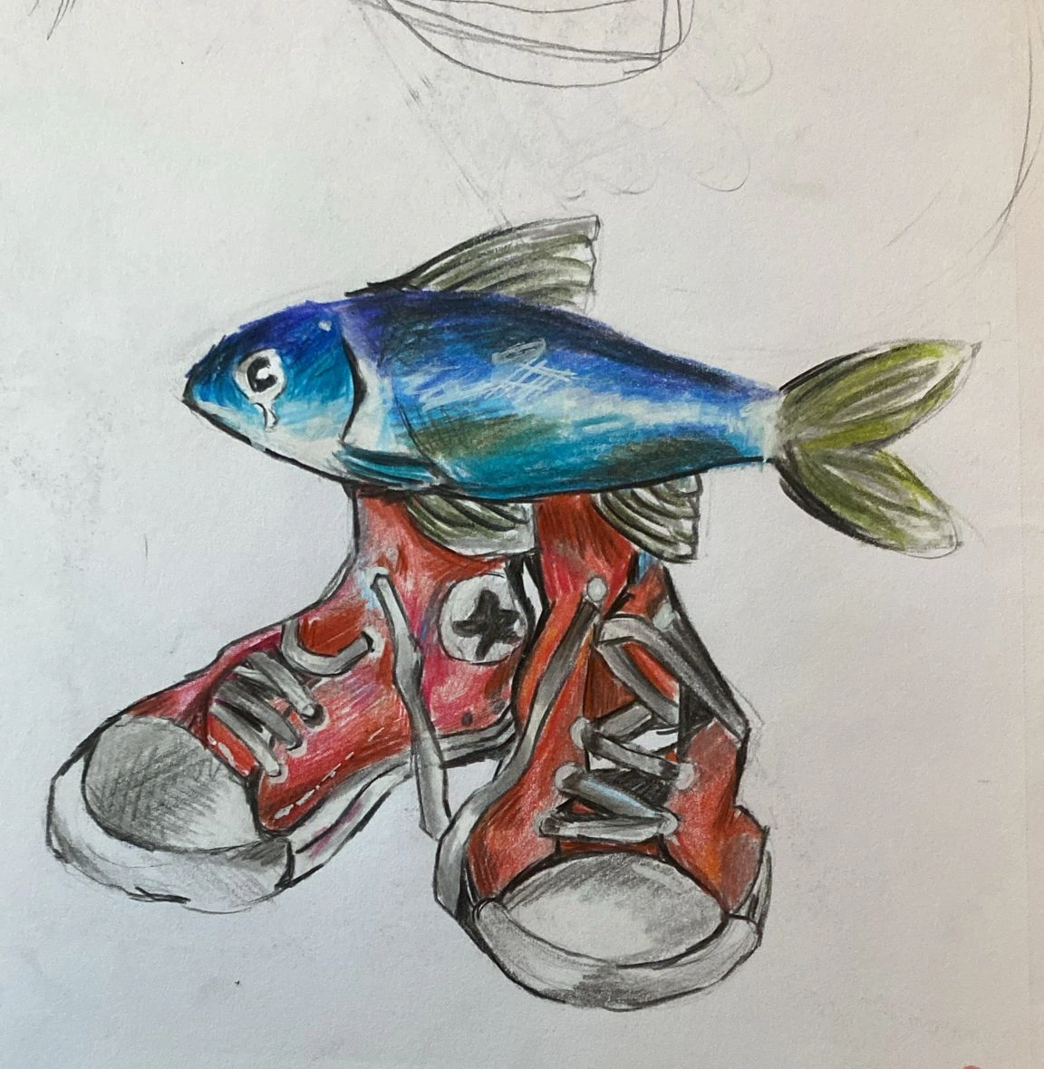 Still life with fish and Converse snekaers