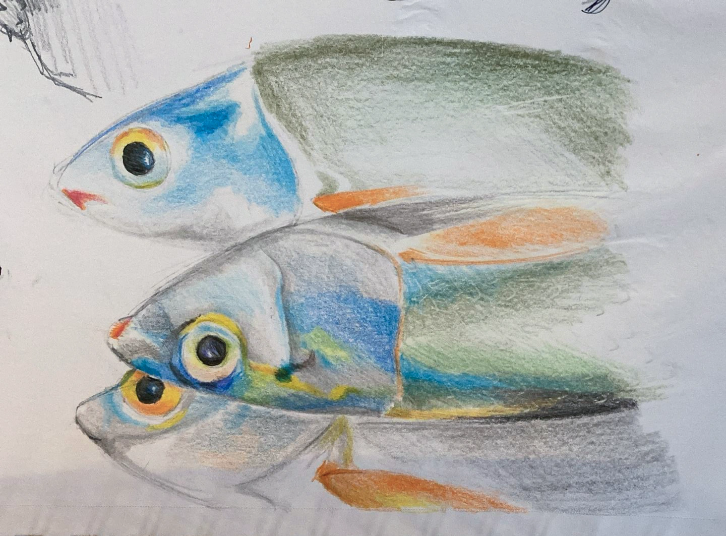 Still life with fish